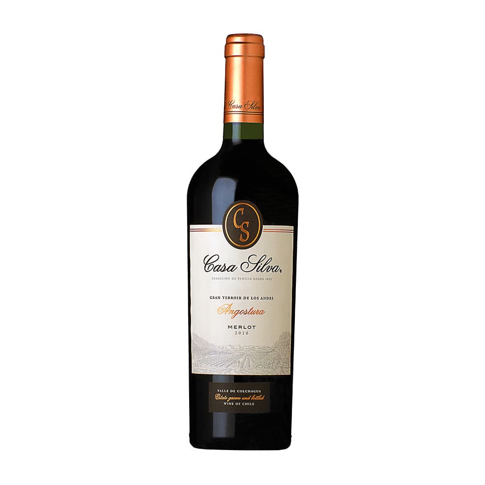 Anúncio: Vino Casa Silva Gran Terroir Merlot 750ml