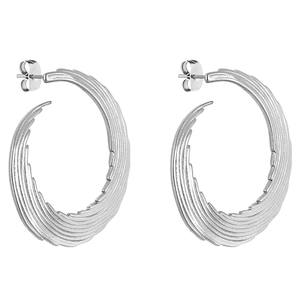 Anúncio: Brinco Feminino Daniel Klein DKJ.15.30004-1 - Prata