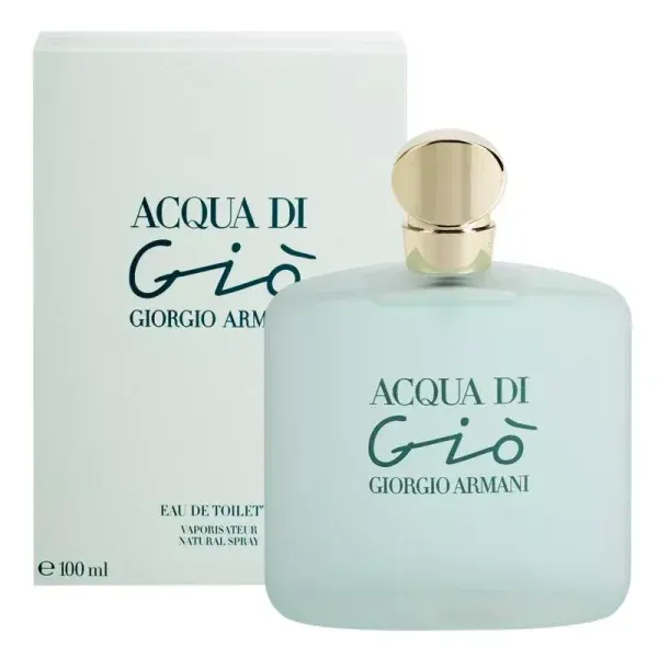 Perfume Armani Acqua Di Gio Eau de Toilette 100ml