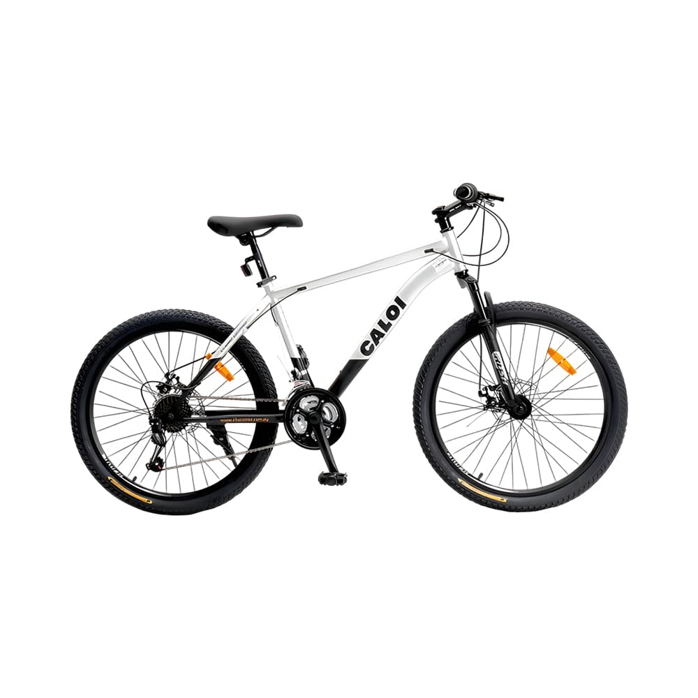 Bicicleta Caloi Rider Sport 20 Cinza