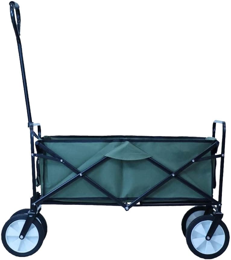 Carrinho Guepardo Roller Verde