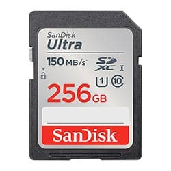 Cartão de Memória SD SanDisk Ultra U1 256GB Classe 10