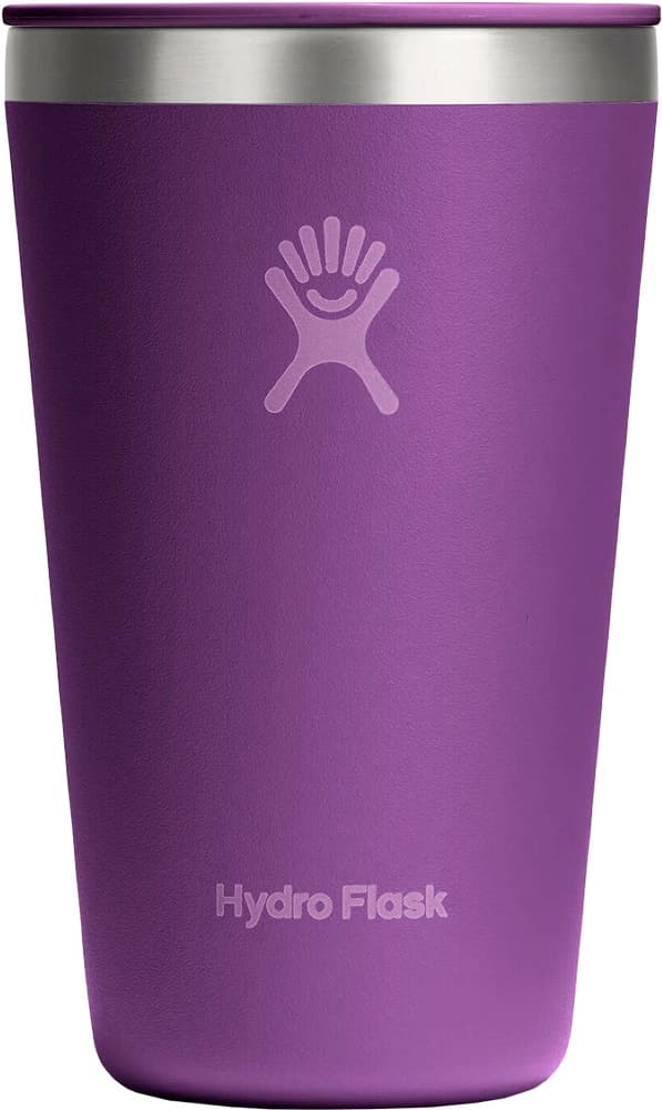 Copo Térmico Hydro Flask T16CPC526 (473mL) Beachplum Purple
