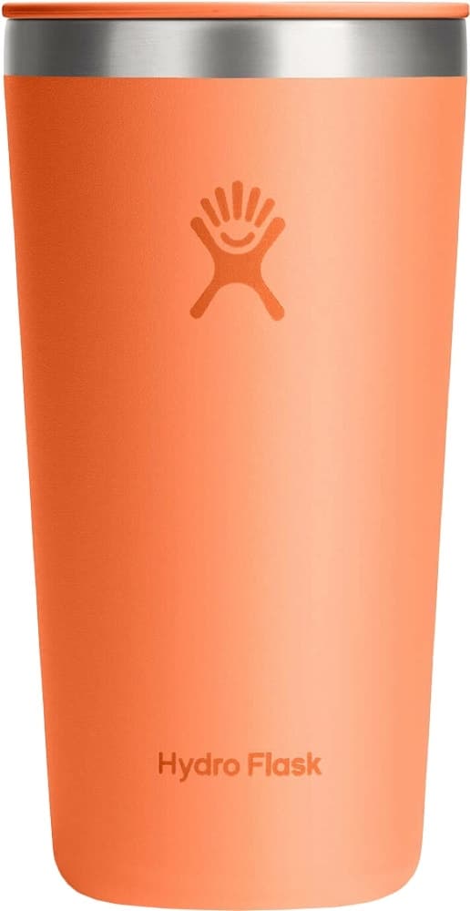 Copo Térmico Hydro Flask T20CPC690 (591mL) Laranja Néctar