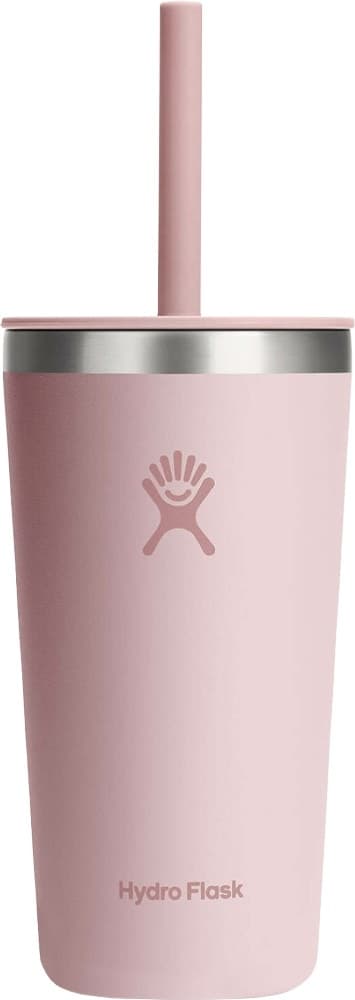 Copo Térmico Hydro Flask T20PSC678 (591mL) Trillium