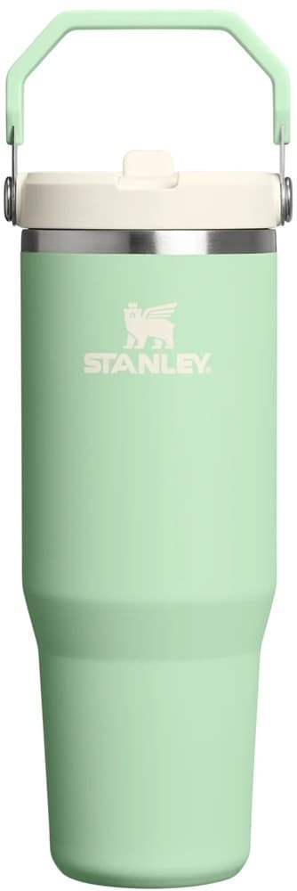 Copo Térmico Stanley Flip Straw Tumbler 10-12043-313 (887mL) Pistachio