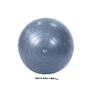 Bola de Ginástica/Yoga Everlast 65CM