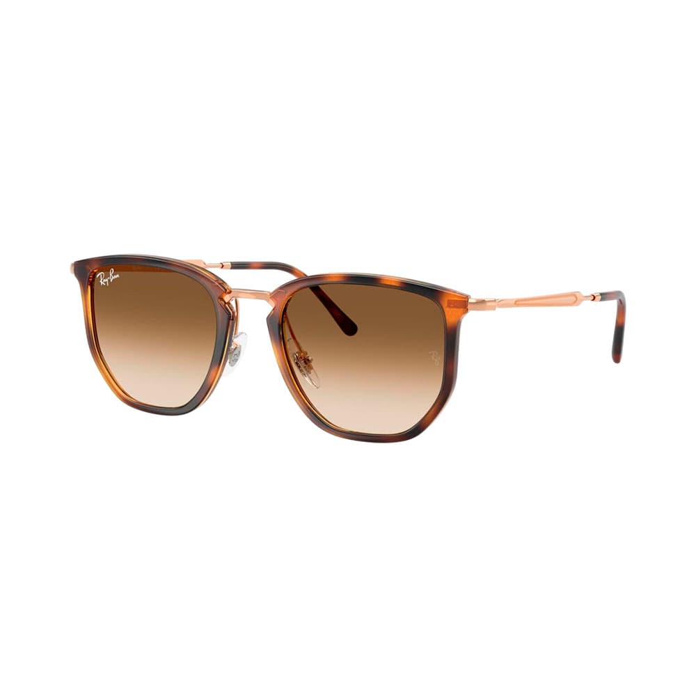 Óculos de Sol Ray Ban 4451 680451 53