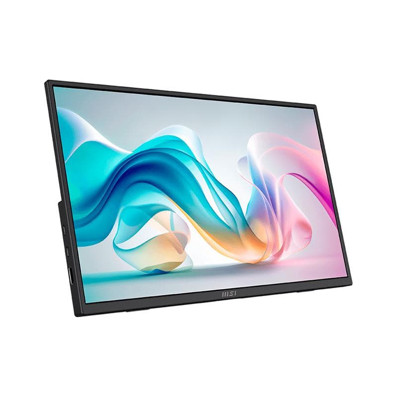 Monitor Portátil Msi Pro MP165 e6 FHD IPS 4MS