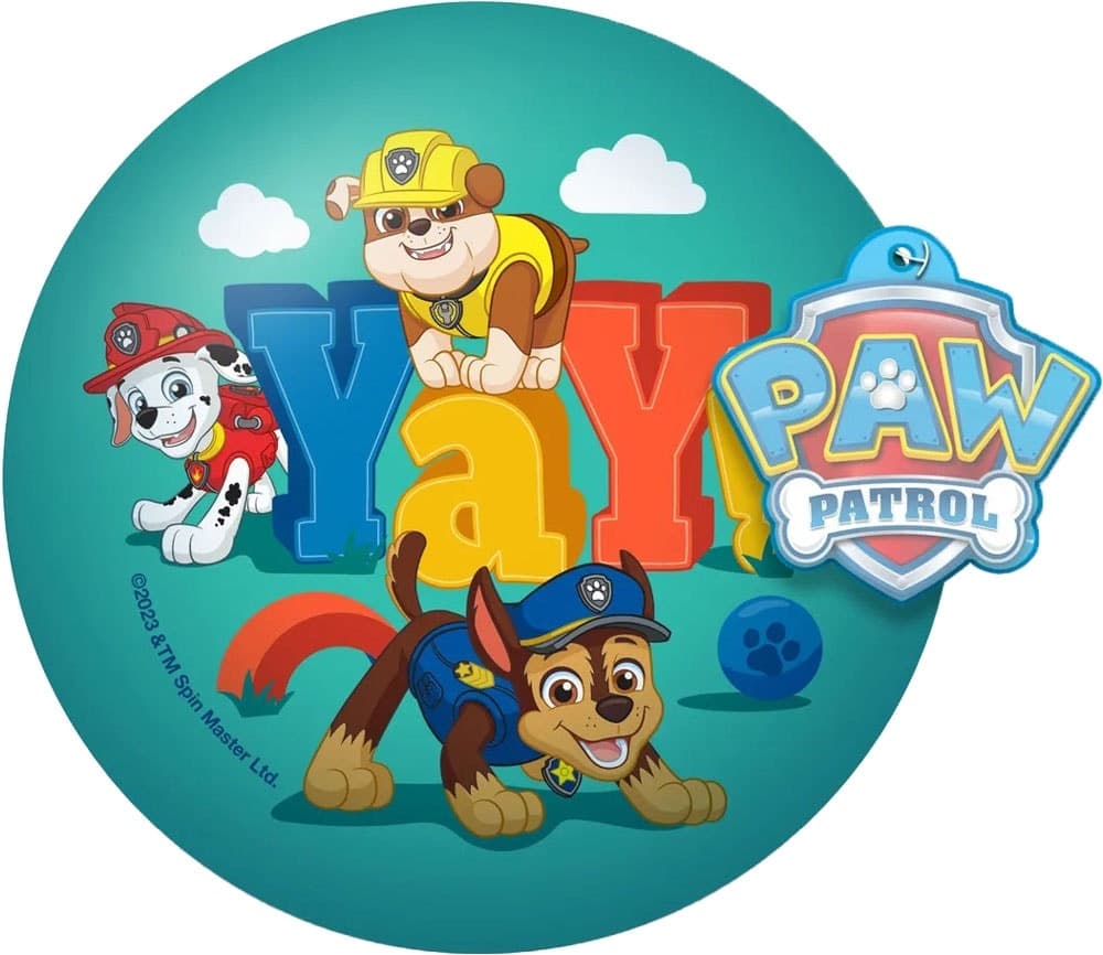 Brinquedo Paw Patrol Foamy Ball Ja-Ru 7505 C Turquesa