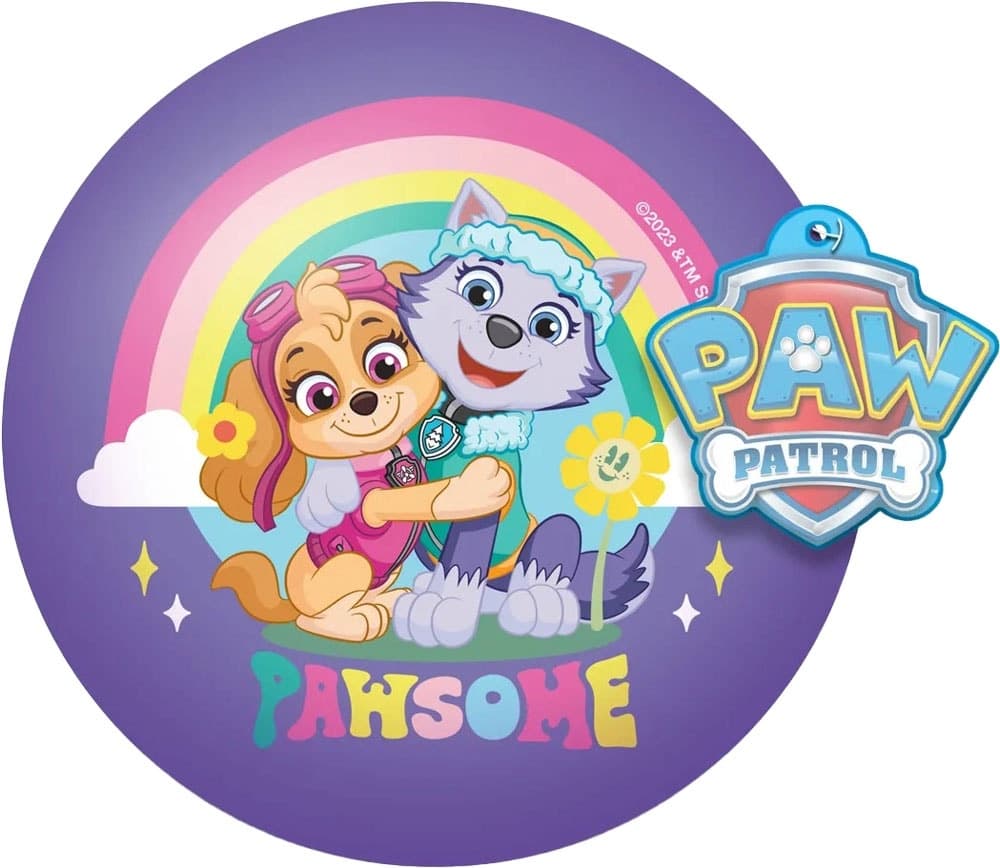 Brinquedo Paw Patrol Foamy Ball Roxo