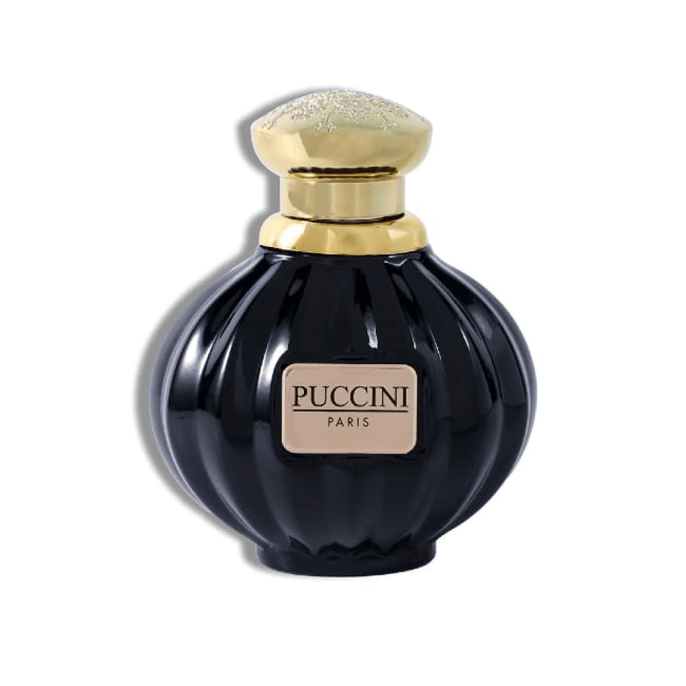 Perfume Puccini Black Pearl Eau de Parfum 100ml
