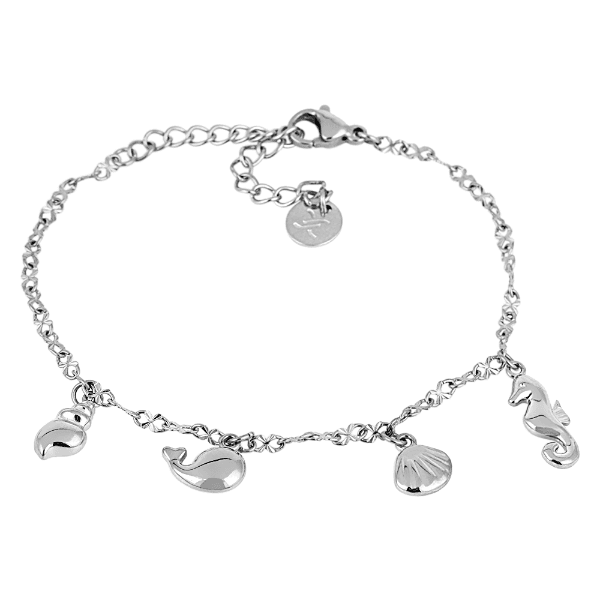 Pulseira Feminina Daniel Klein Dkj.5.10015-1 Prata