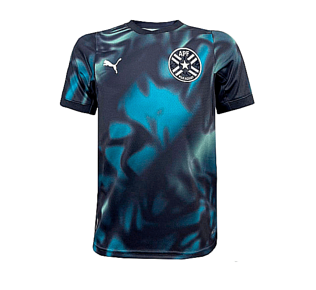 Camiseta Puma Inf Apf Paraguay 69704001 (T) 8