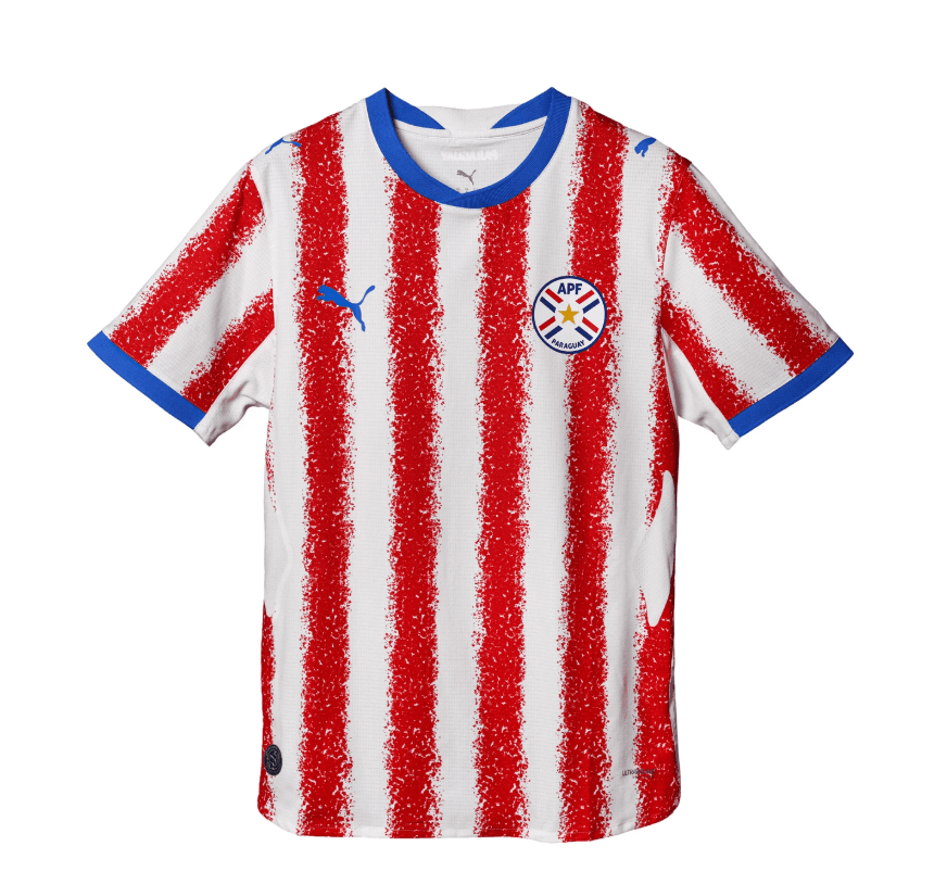 Camiseta Puma Apf Paraguay 697015 01 (T) Xl