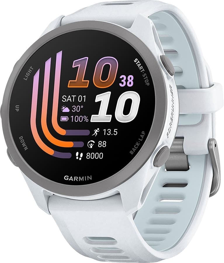 Relógio GPS Garmin Forerunner 170