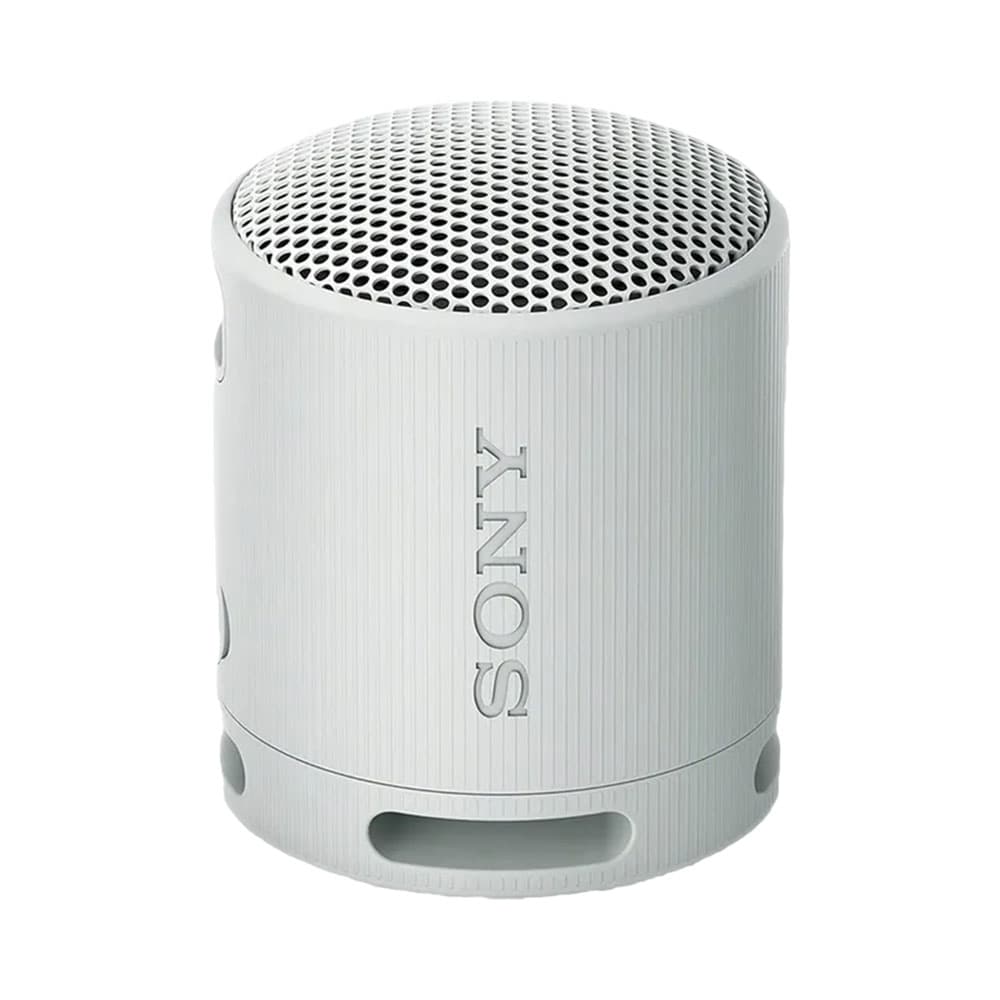 Caixa de Som Sony Srs-Xb100 Cinza Claro