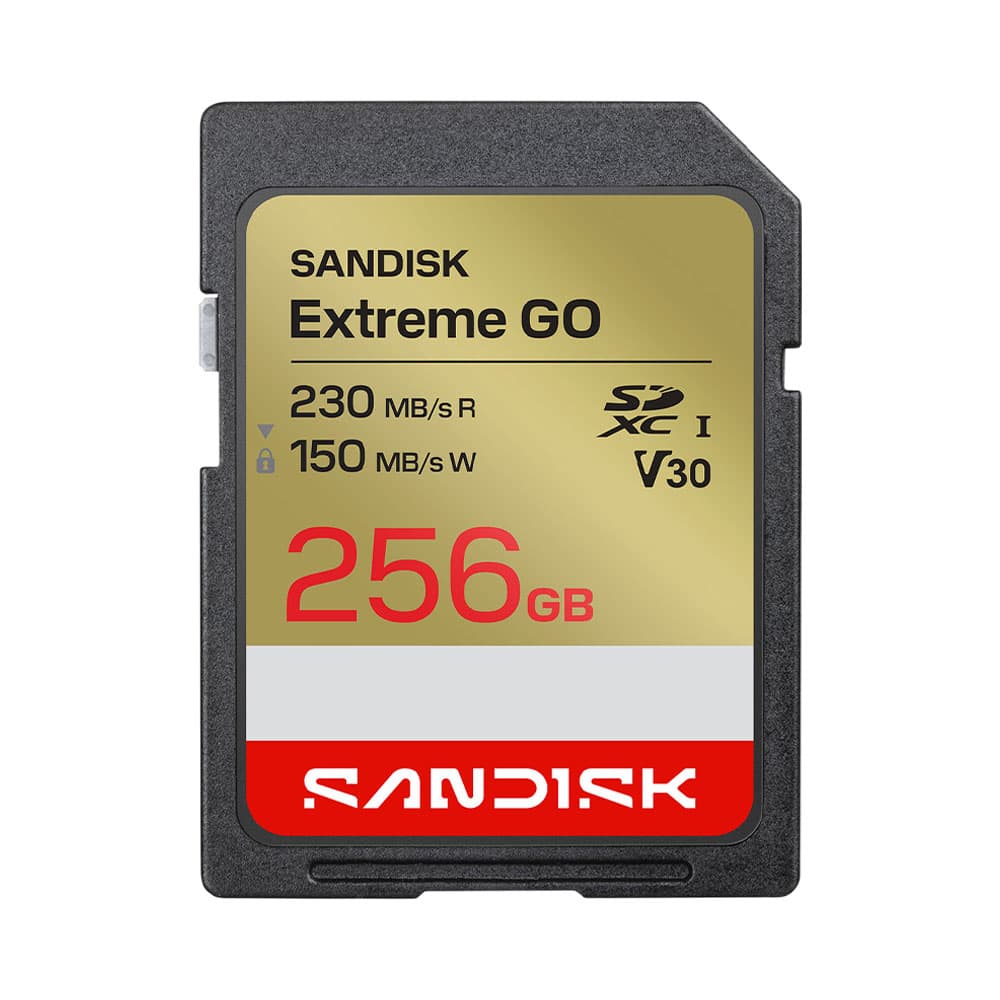 Cartão de Memória SanDisk Extreme Go 256GB 230-150MB/s