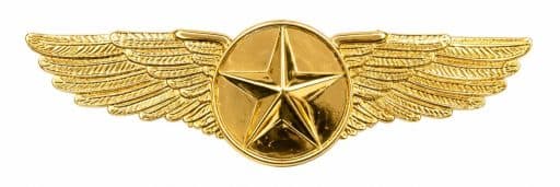 Emblema Estrela Dourada Grande Wings (6.4Cm)