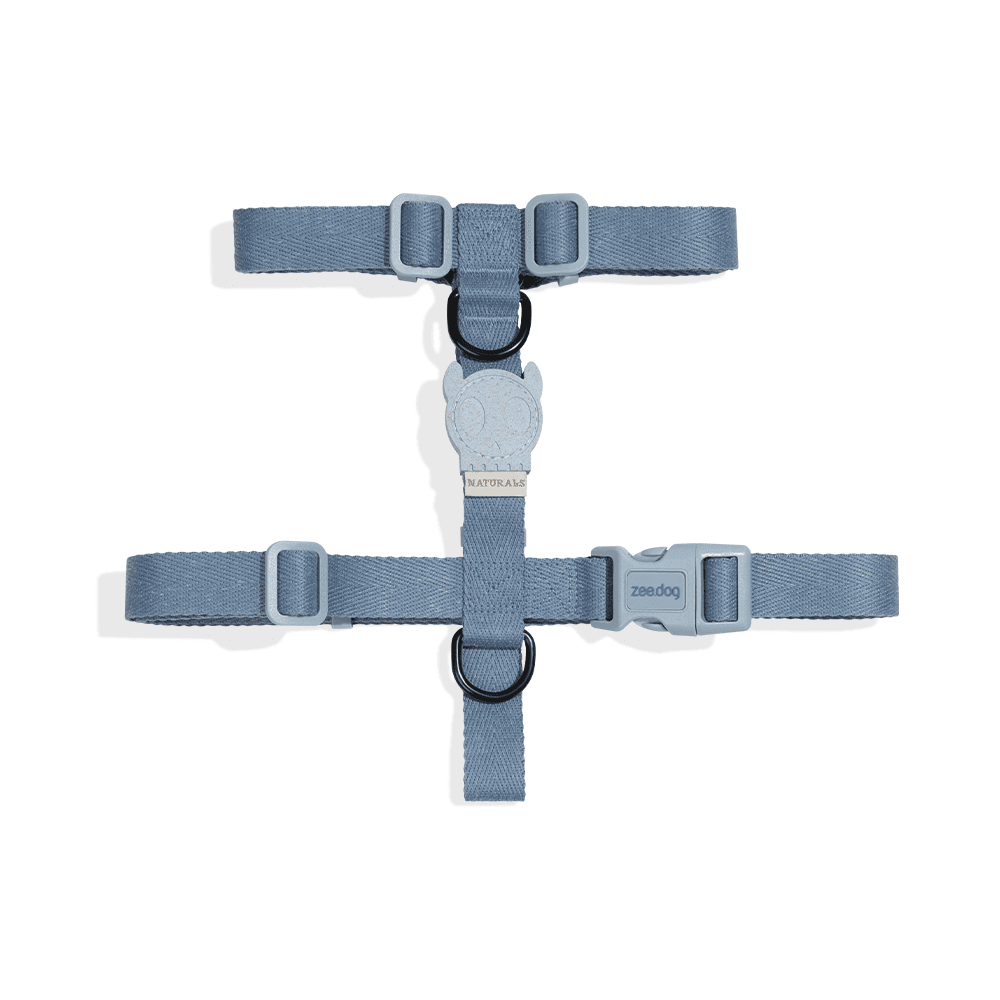 Zeedog Arnes P/perro Marine Small